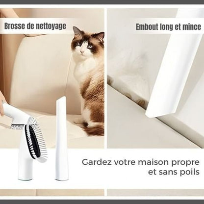 Aspirateur Poil De Chien / Ivy - balayeuse