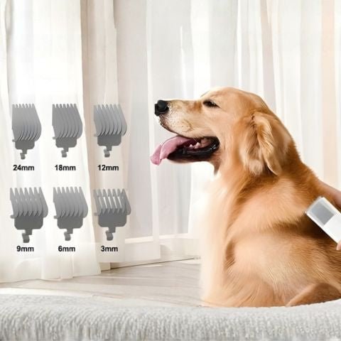 Aspirateur Poil De Chien / Ivy - Plusieurs coupes