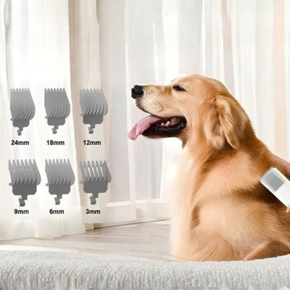 Aspirateur Poil De Chien / Ivy - Plusieurs coupes