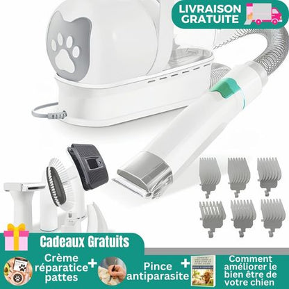 Aspirateur Poil De Chien / Ivy - Mon Chien Charlie