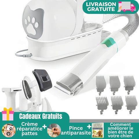 Aspirateur Poil De Chien / Ivy - Mon Chien Charlie