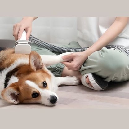 Aspirateur poil de chien / Westcott - Mon Chien Charlie