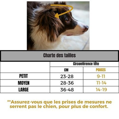 Bonnet Chien / Méo - Mon Chien Charlie