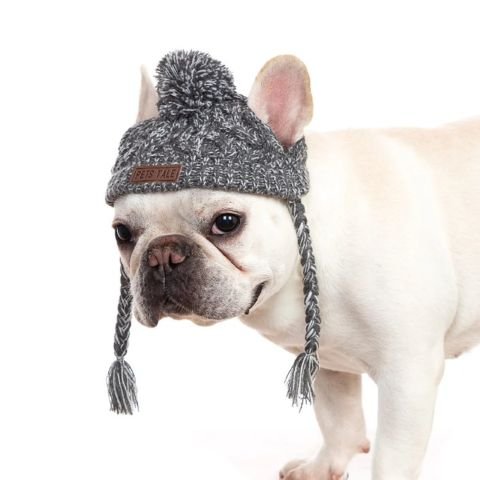 Bonnet Chien / Méo - Mon Chien Charlie