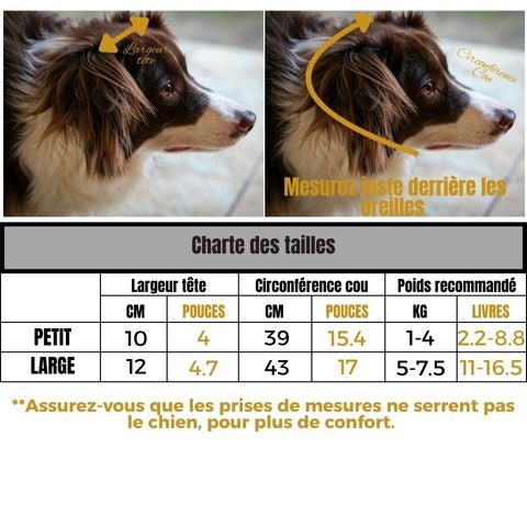 Bonnet Chien / Westcott - Mon Chien Charlie
