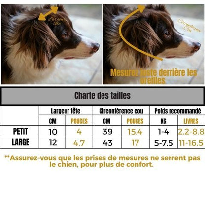 Bonnet Chien / Westcott - Mon Chien Charlie