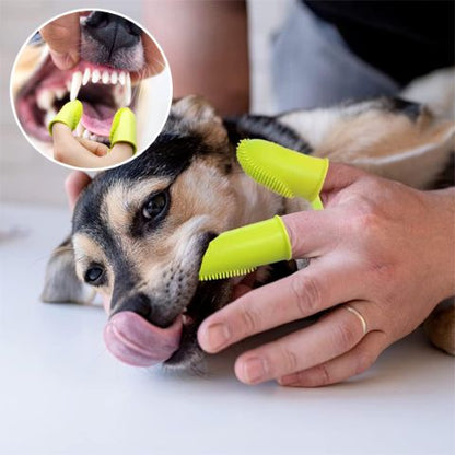 Brosse A Dent Chien / Fidgy - Mon Chien Charlie