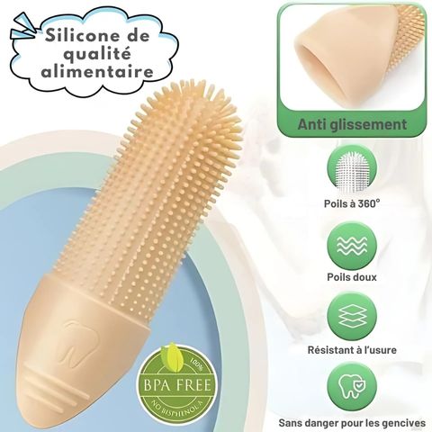 Brosse A Dent Chien / Loulou - Mon Chien Charlie