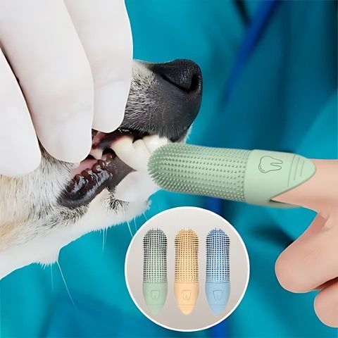 Brosse A Dent Chien / Loulou - Mon Chien Charlie