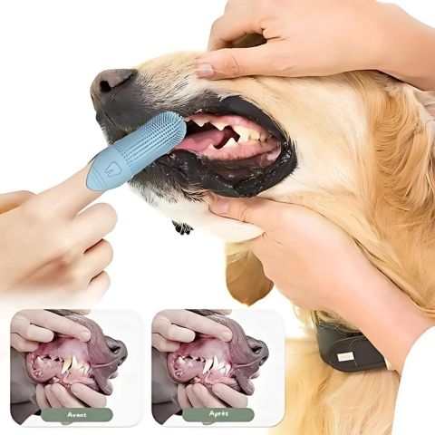 Brosse A Dent Chien / Loulou - Mon Chien Charlie