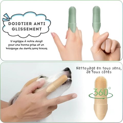 Brosse A Dent Chien / Loulou - Mon Chien Charlie
