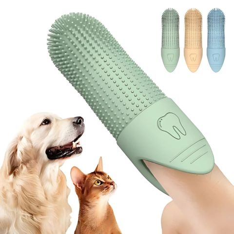 Brosse A Dent Chien / Loulou - Mon Chien Charlie