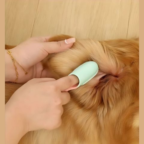 Brosse A Dent Chien / Médor - Mon Chien Charlie