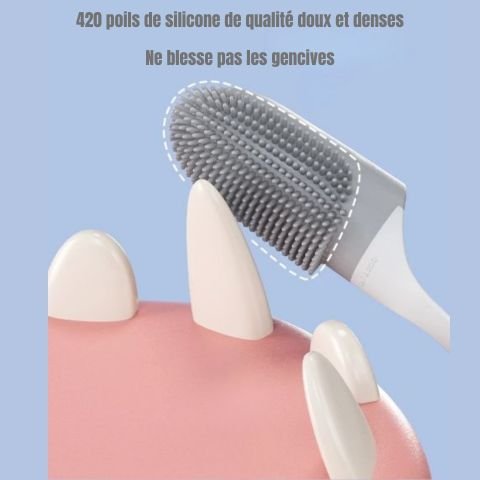 Brosse A Dent Chien / Médor - Mon Chien Charlie