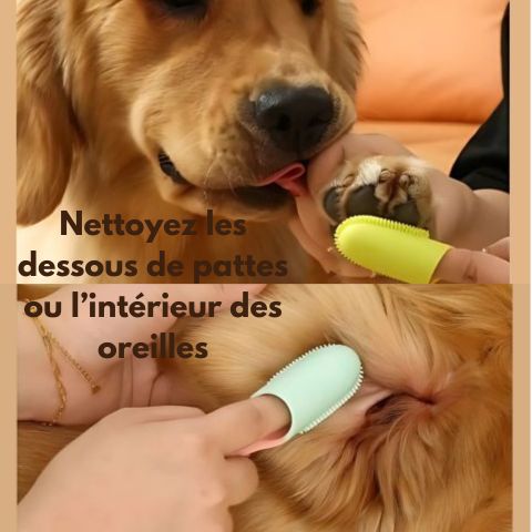 Brosse A Dent Chien / Médor - Mon Chien Charlie