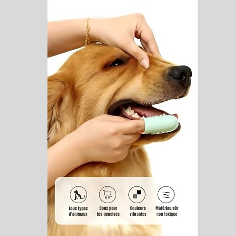 Brosse A Dent Chien / Médor - Mon Chien Charlie