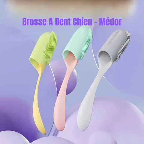 Brosse A Dent Chien / Médor - Mon Chien Charlie