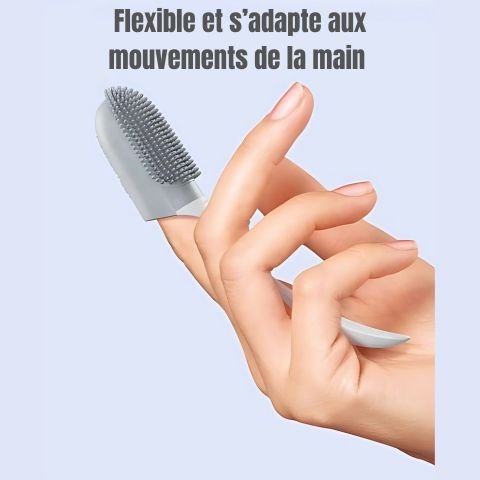 Brosse A Dent Chien / Médor - Mon Chien Charlie
