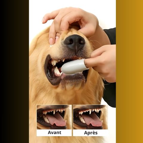 Brosse A Dent Chien / Médor - Mon Chien Charlie
