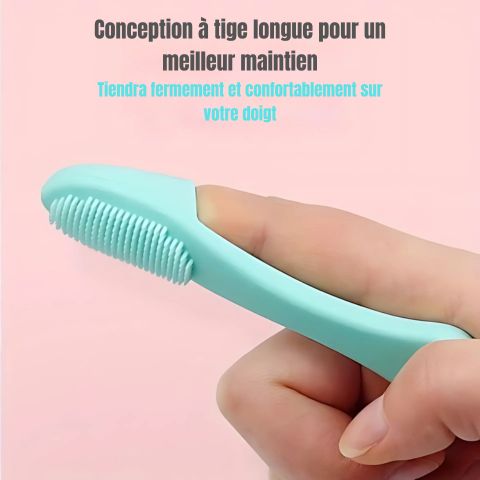 Brosse A Dent Chien / Rosco - Mon Chien Charlie