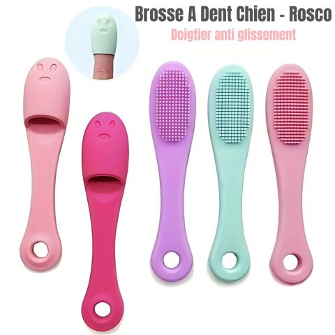 Brosse A Dent Chien / Rosco - Mon Chien Charlie