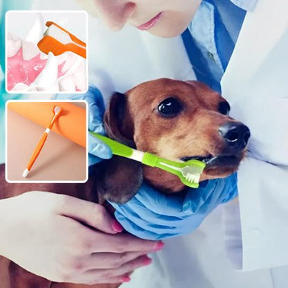 Brosse A Dent Chien / Ruby - Mon Chien Charlie