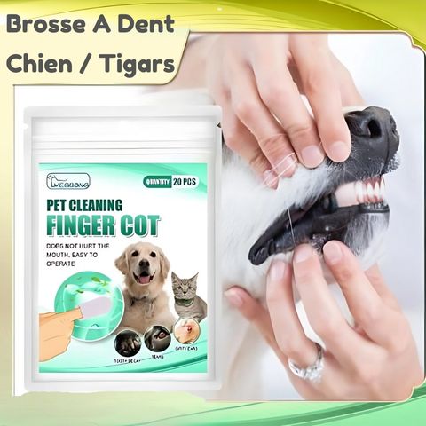 Brosse A Dent Chien / Tigars - Mon Chien Charlie