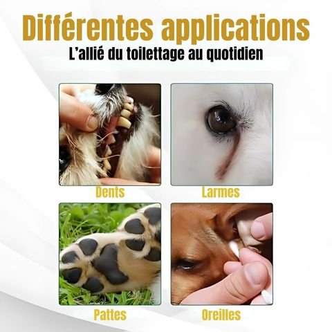 Brosse A Dent Chien / Tigars - Mon Chien Charlie