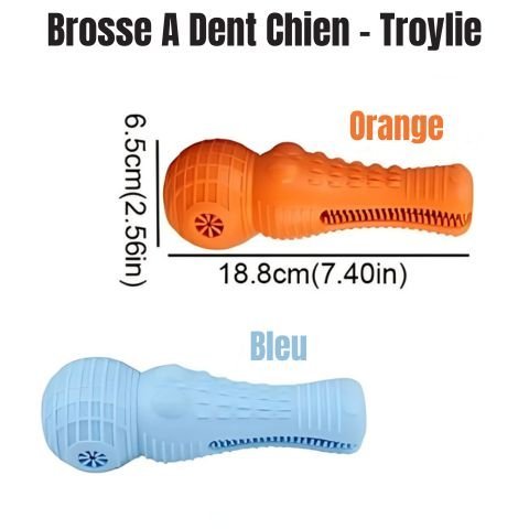 Brosse A Dent Chien / Troylie - Mon Chien Charlie