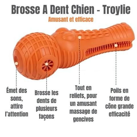 Brosse A Dent Chien / Troylie - Mon Chien Charlie