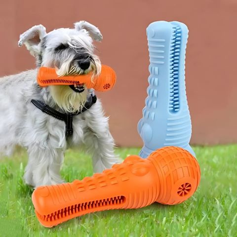 Brosse A Dent Chien / Troylie - Mon Chien Charlie