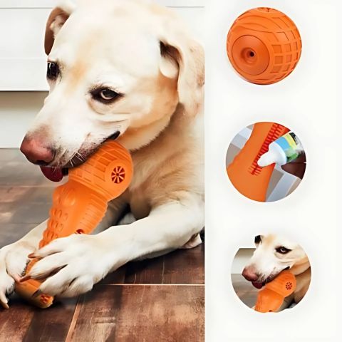 Brosse A Dent Chien / Troylie - Mon Chien Charlie