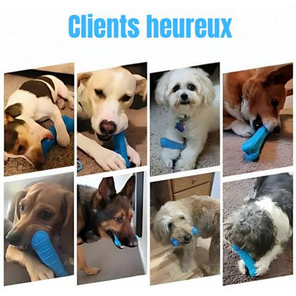 Brosse A Dent Chien / Zoé - Mon Chien Charlie
