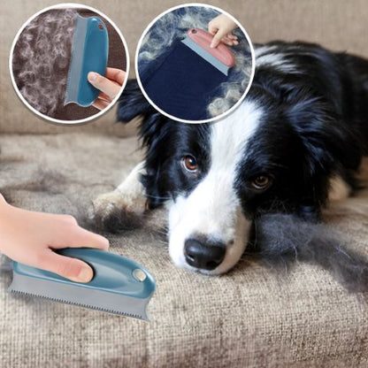 Brosse Anti Poil / Loulou - Mon Chien Charlie