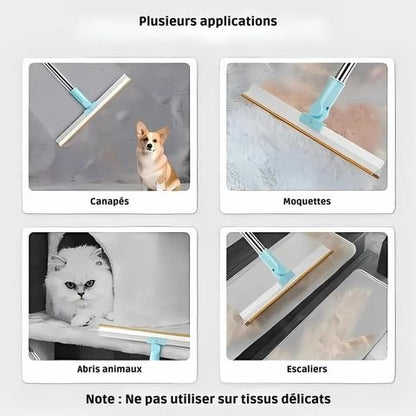 Brosse Anti Poil / Zara - Mon chien Charlie
