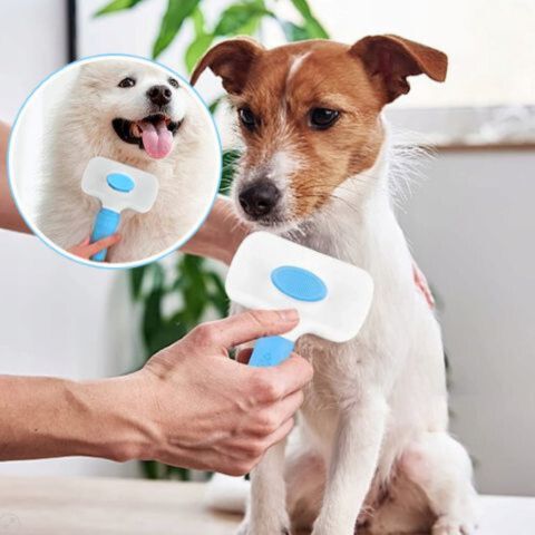 Brosse Pour Chien / Loulou - Mon Chien Charlie