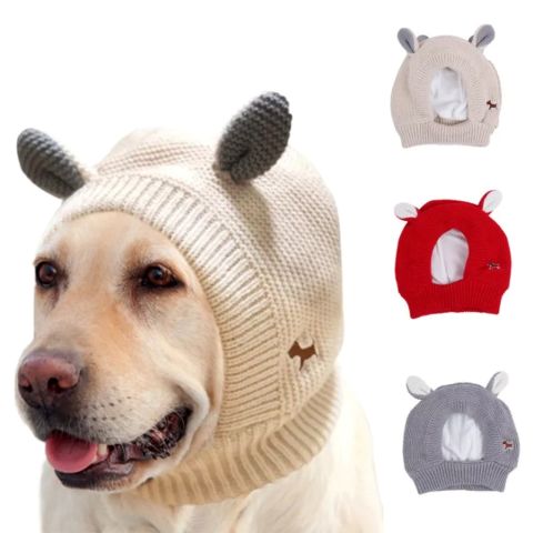 Cache Oreille Pour Chien / Loulou - Mon chien Charlie