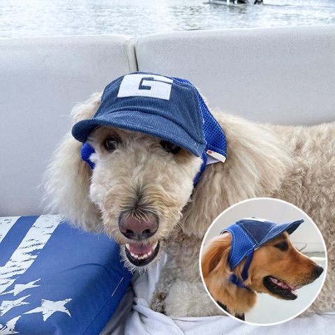 Casquette chien Goliath bleu sur un chien couché dans un bateau, détail circulaire montrant un autre chien portant la même casquette