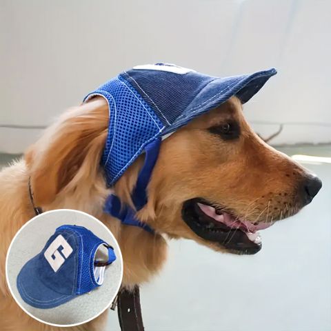 Casquette pour chien Goliath, chien beige portant une casquette bleue en mesh et protection autour des oreilles.