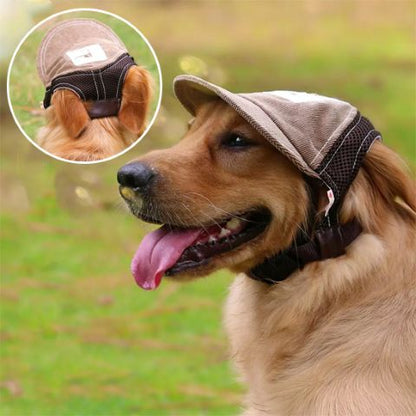 Casquette chien / Goliath brun portée par un chien golden, vue principale avec un petit zoom montrant l’arrière de la casquette.