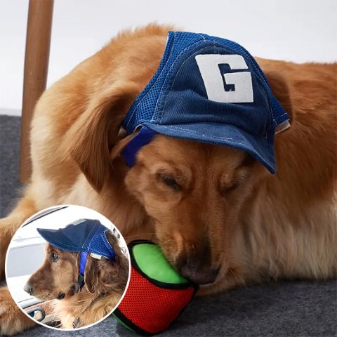 Casquette pour chien Casquette Chien / Goliath sur un chien doré mordant une balle rouge et verte, avec une petite vue zoom.