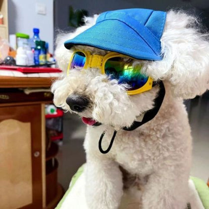 Casquette chien / Marley sur un chien Bichon blanc, lunettes colorées jaune et casque bleu, chapeau de soleil stylé.