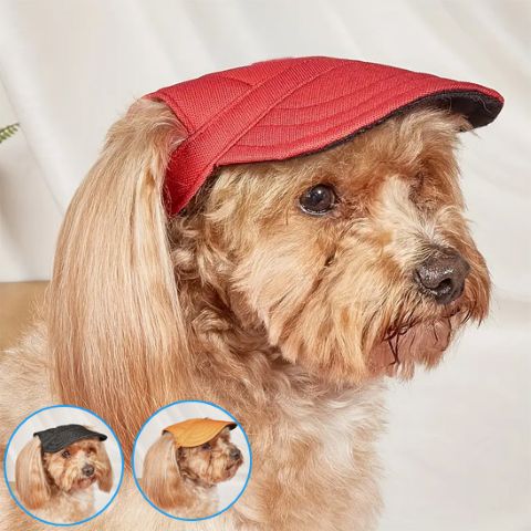 Casquette pour chien Marley portée par un chien marron clair, vue de profil; version rouge visible, autres coloris en miniatures à gauche