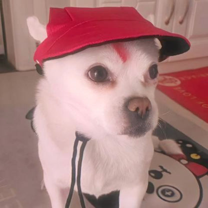 Casquette chien / Marley sur un chien Chihuahua blanc, portant une casquette rouge, intérieur maison.