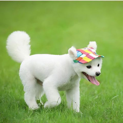 Chien blanc portant une casquette colorée rayé, dehors sur l’herbe verte, langue pendante. Casquette Chien / Nelly