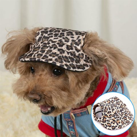 Casquette chien à motif léopard porté par un petit chien brun, avec un image secondaire montrant la Casquette Nelly sur une table