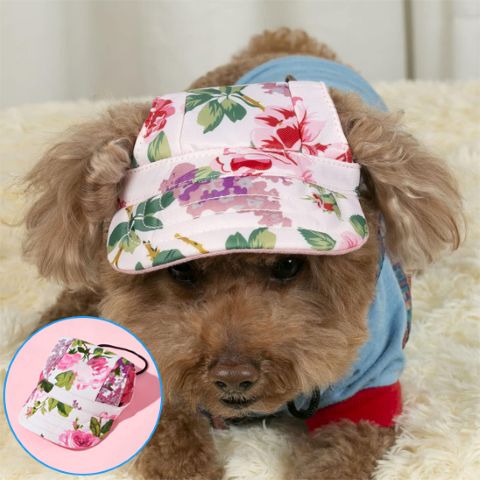 Casquette chien / Nelly sur un chien mignon bichon brun, motif floral rose et vert, accessoire élégant pour chien.