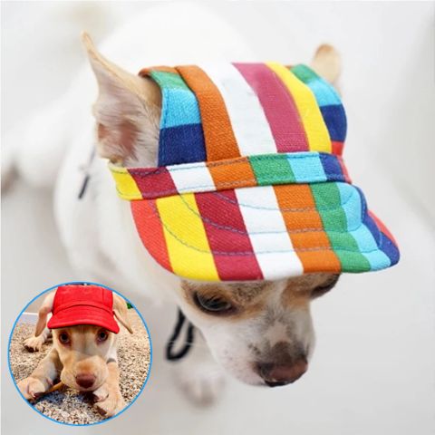 Casquette pour chien Casquette Chien / Nelly, visuelle avec un chien portant une casquette multicolore à rayures.