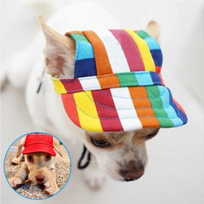 Casquette pour chien Casquette Chien / Nelly, visuelle avec un chien portant une casquette multicolore à rayures.