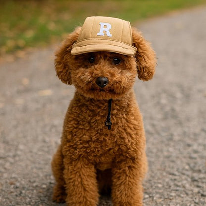 Casquette pour chien / Rosco sur un chiot bouclé brun assis en extérieur, chapeau beige avec lettre R.